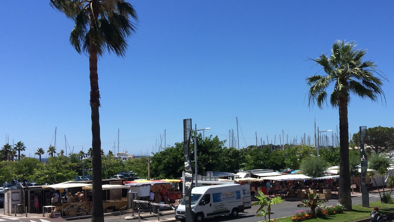 Photo of Others in Bandol