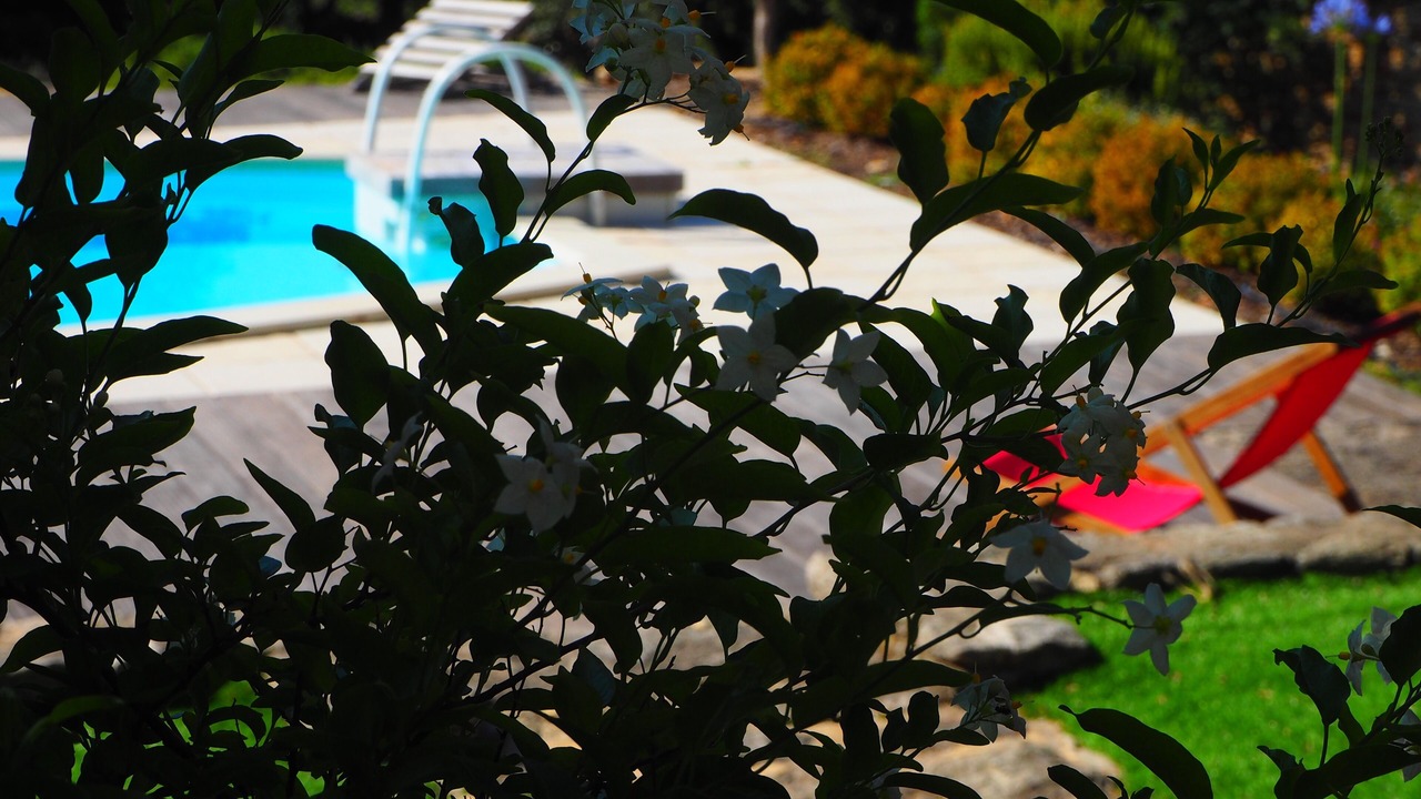 Photo of Outdoor in Cabrieres-d'Avignon
