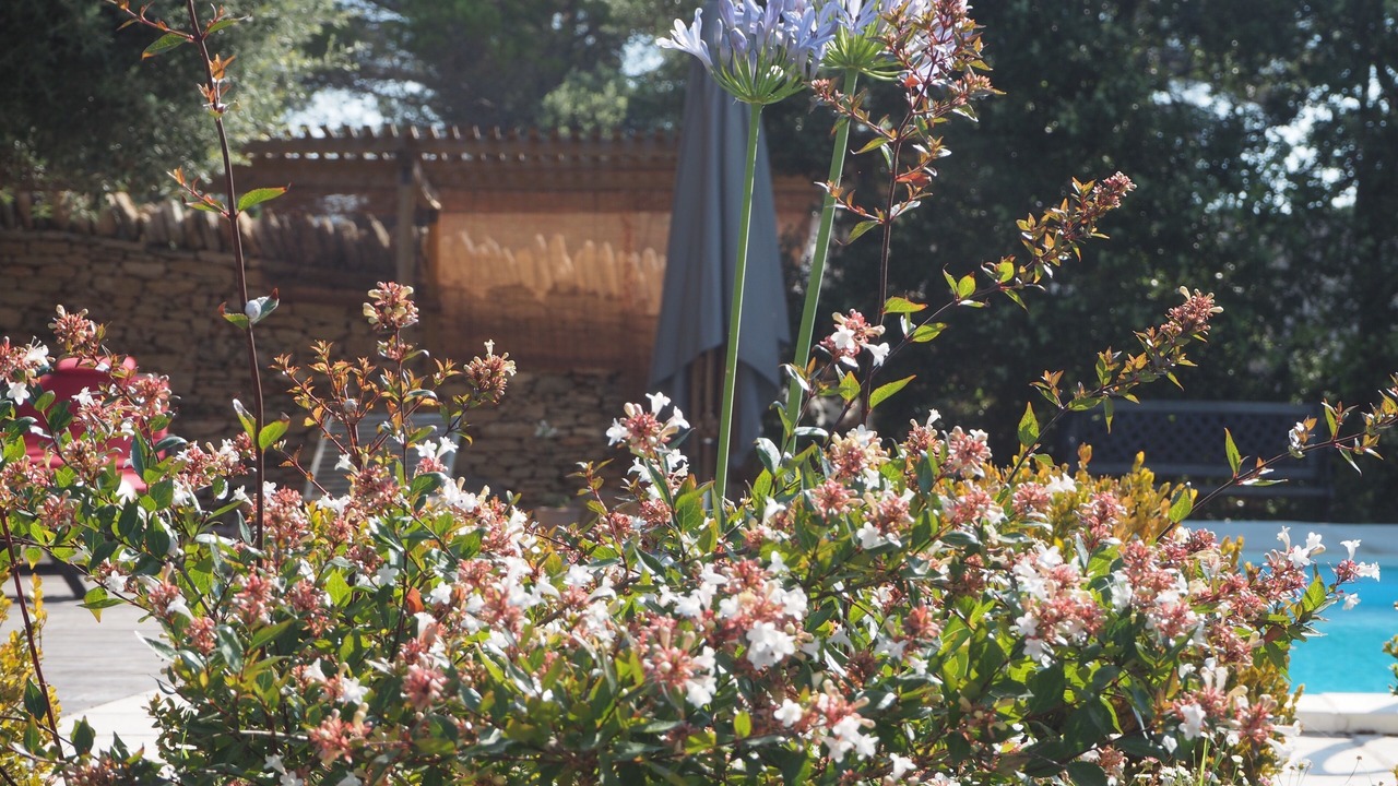 Photo of Outdoor in Cabrieres-d'Avignon