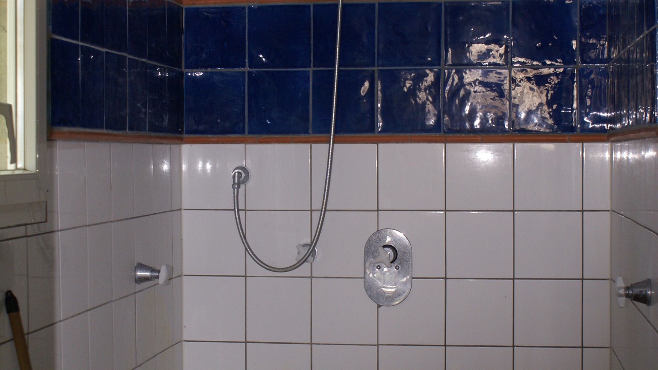 Photo of Bathroom in Lacoste