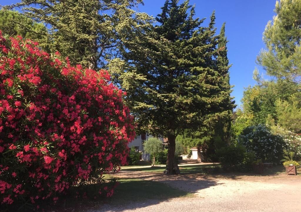 Photo of Outdoor in Velleron