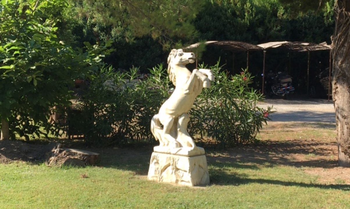 Photo of Outdoor in Velleron