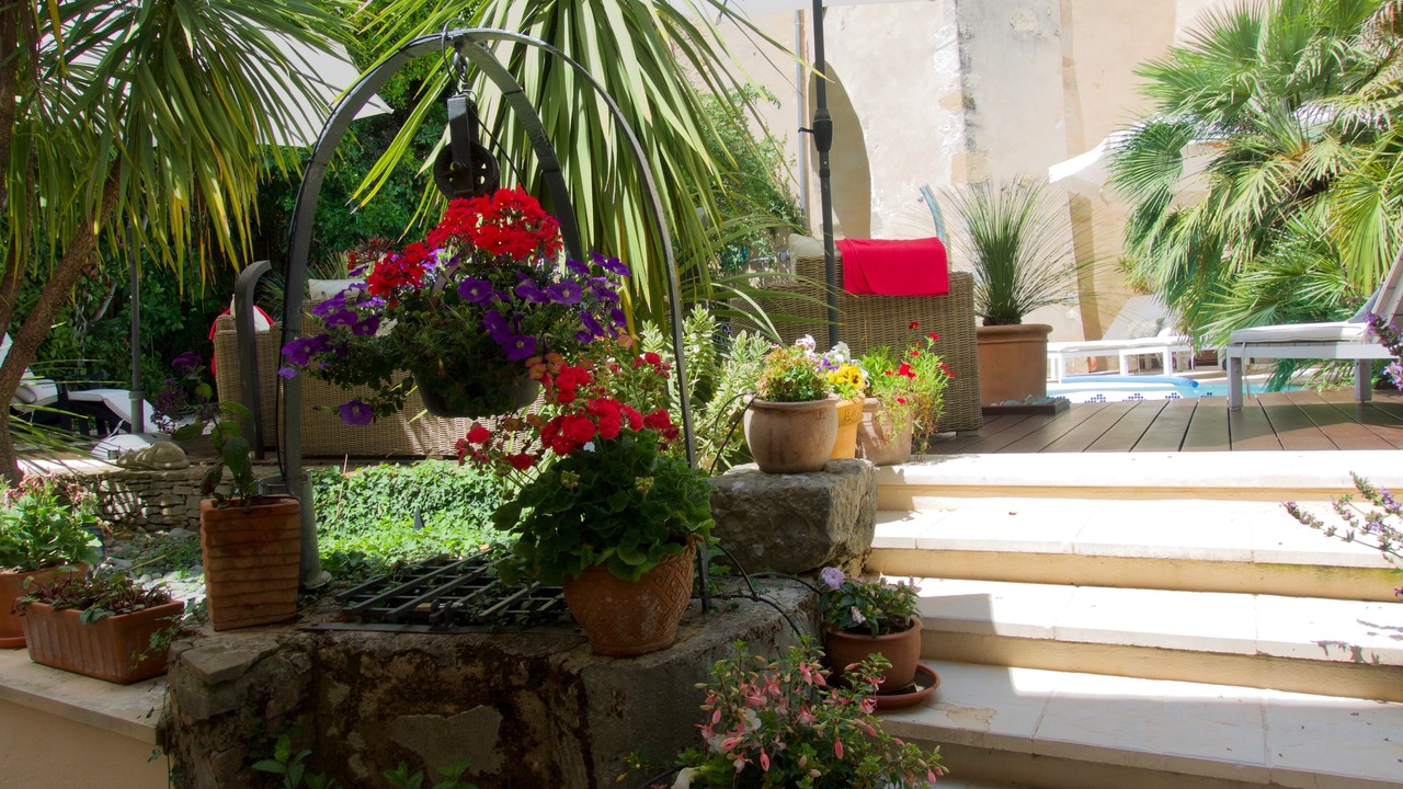 Photo of Patio Balcony in Camps-la-Source