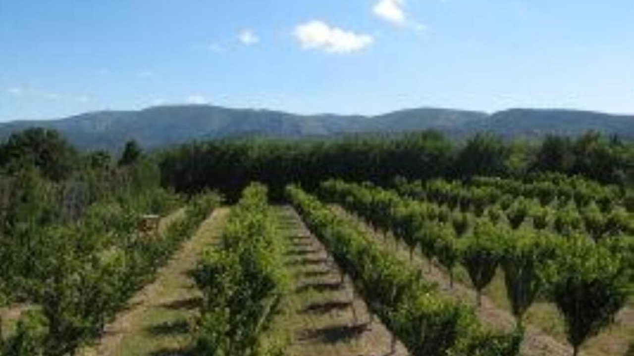 Photo of Outdoor in Lagnes