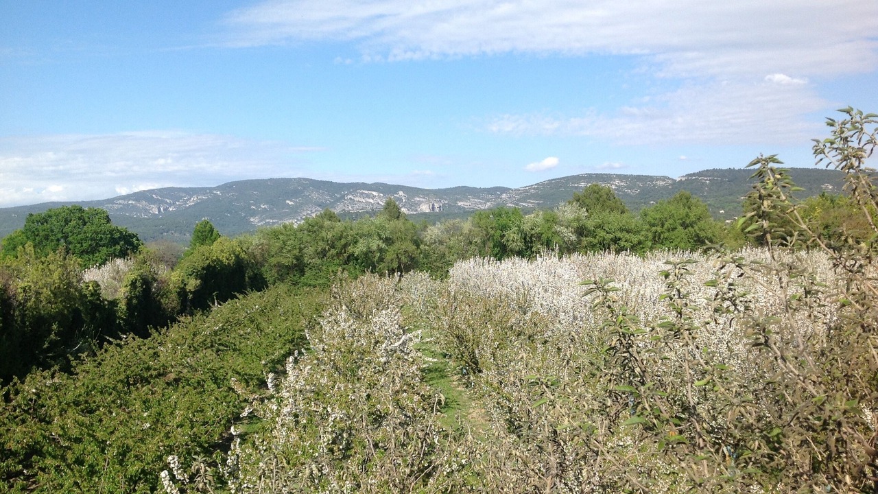 Photo of Outdoor in Lagnes