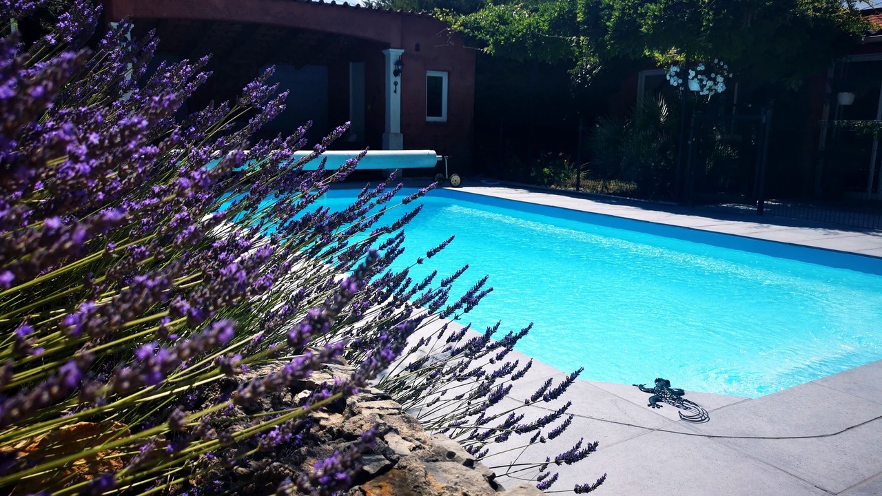 Photo of Outdoor in Rocbaron