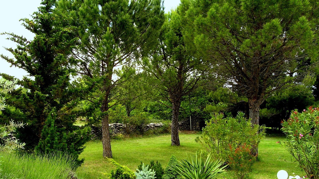 Photo of Outdoor in Lacoste