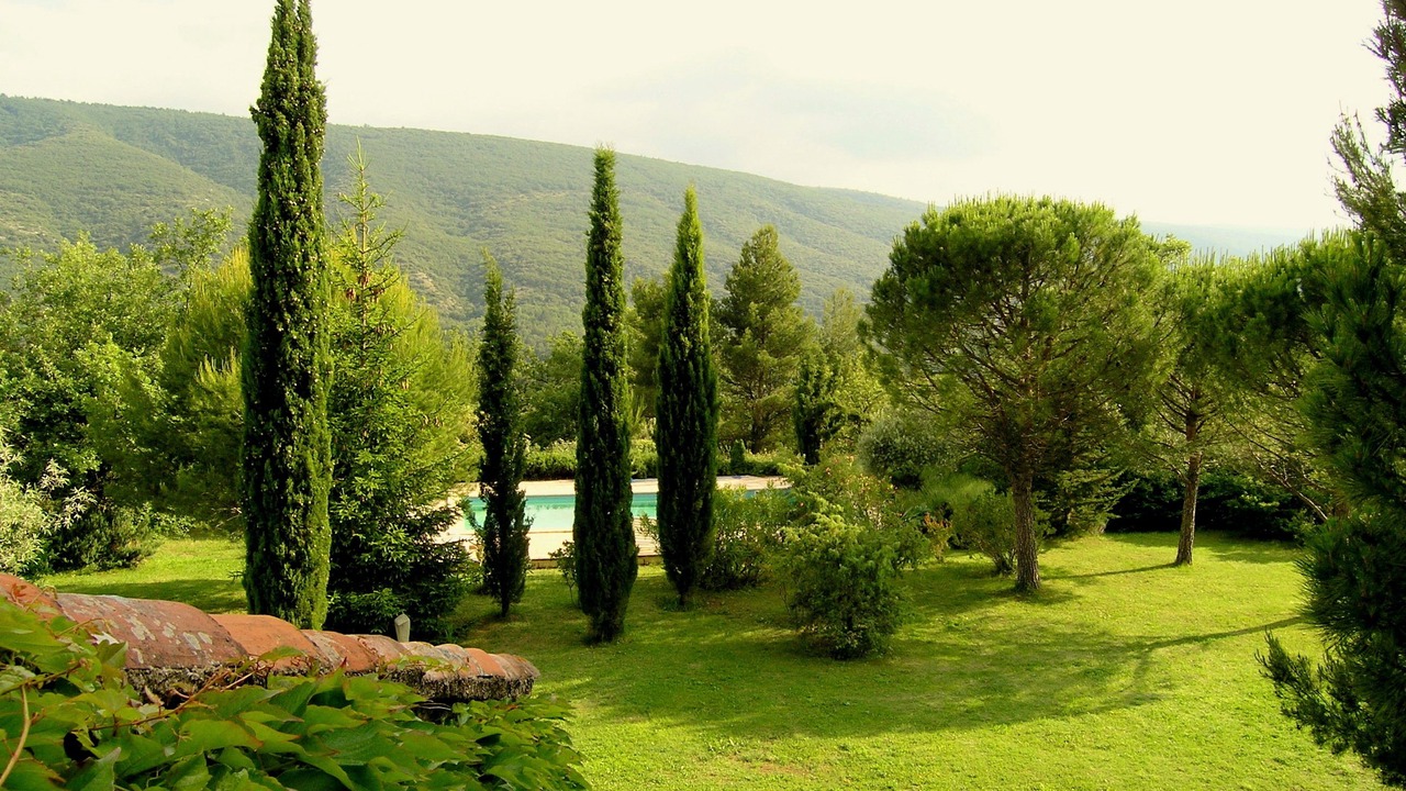 Photo of Outdoor in Lacoste