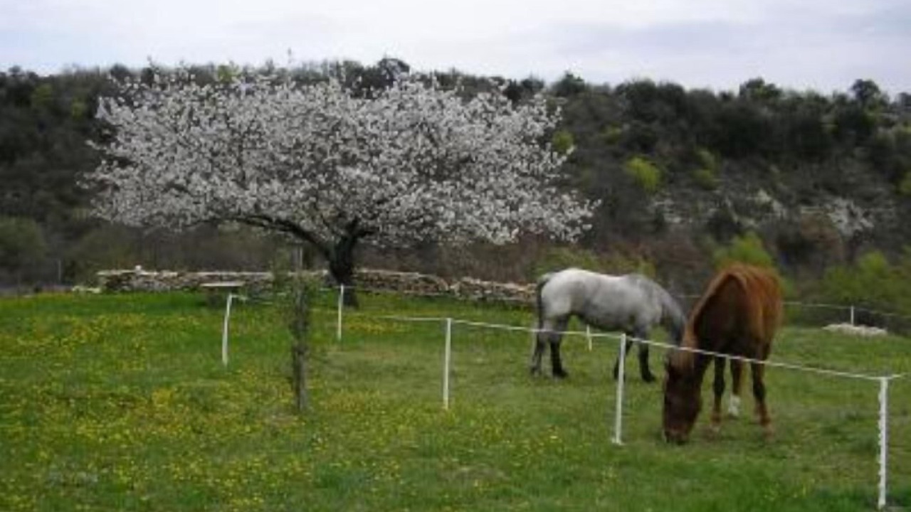 Photo of Outdoor in Saint-Michel-l'Observatoire