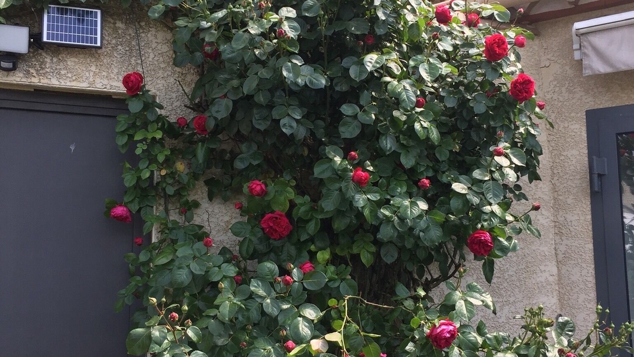 Photo of Outdoor in Vers-Pont-du-Gard