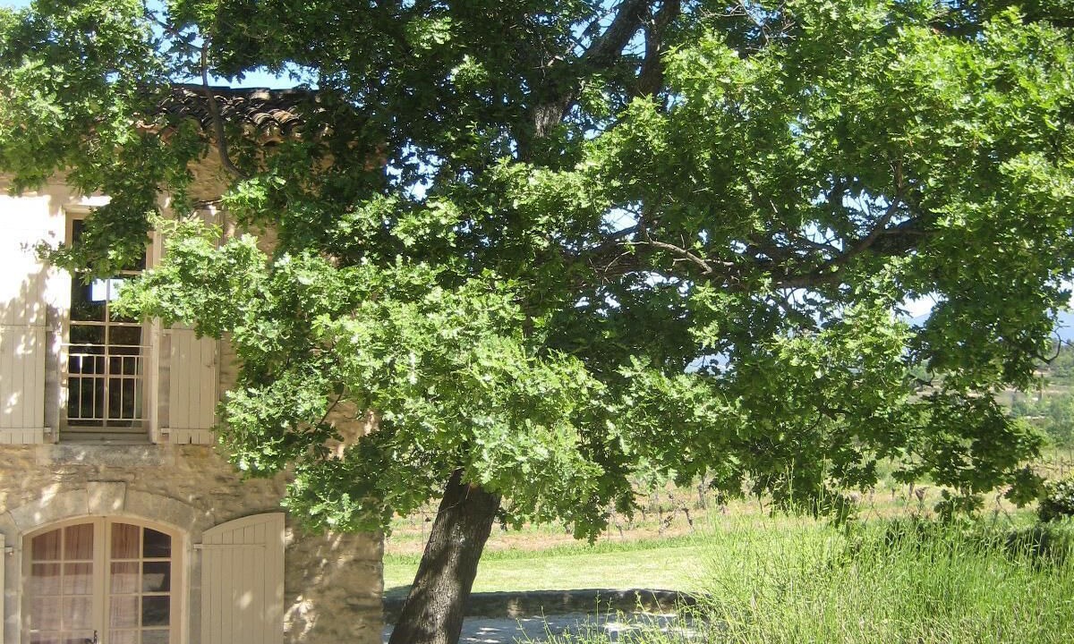 Photo of Outdoor in Bonnieux