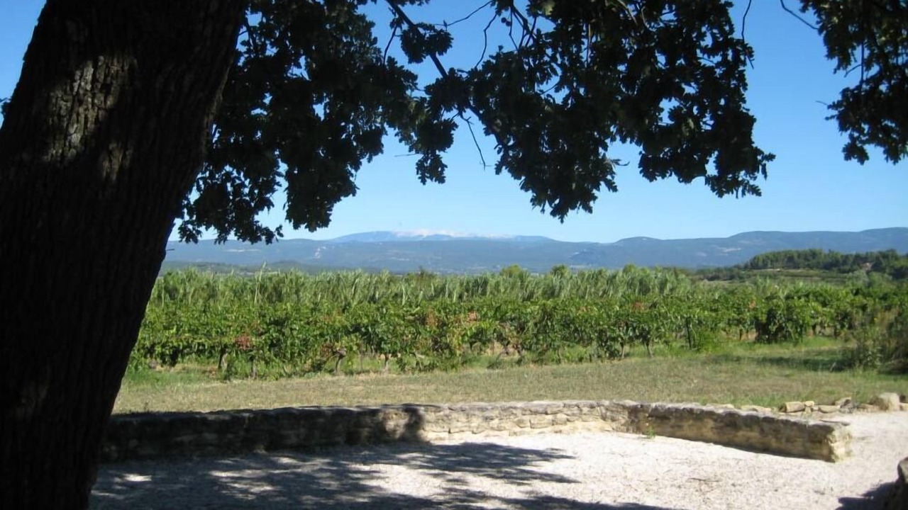 Photo of Outdoor in Bonnieux