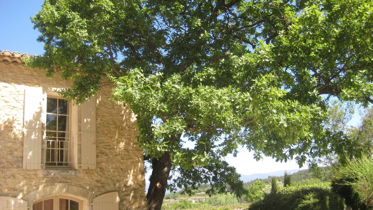 Photo of Outdoor in Bonnieux