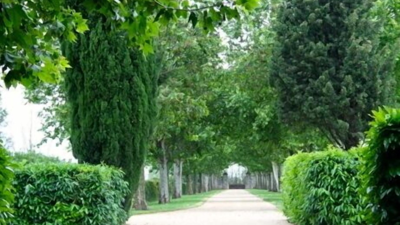 Photo of Outdoor in Mouries