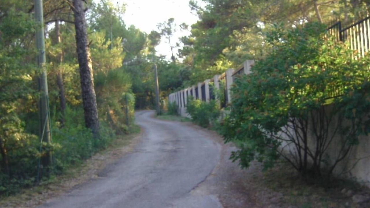 Photo of Outdoor in Tourves