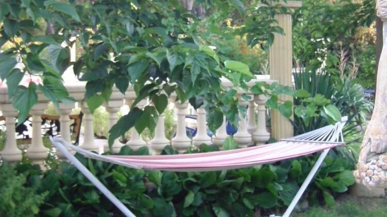 Photo of Outdoor in Tourves