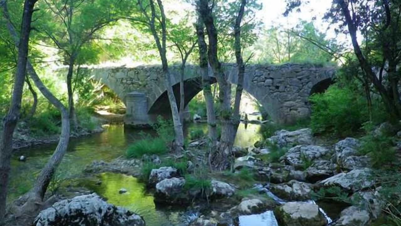 Photo of Outdoor in Tourves