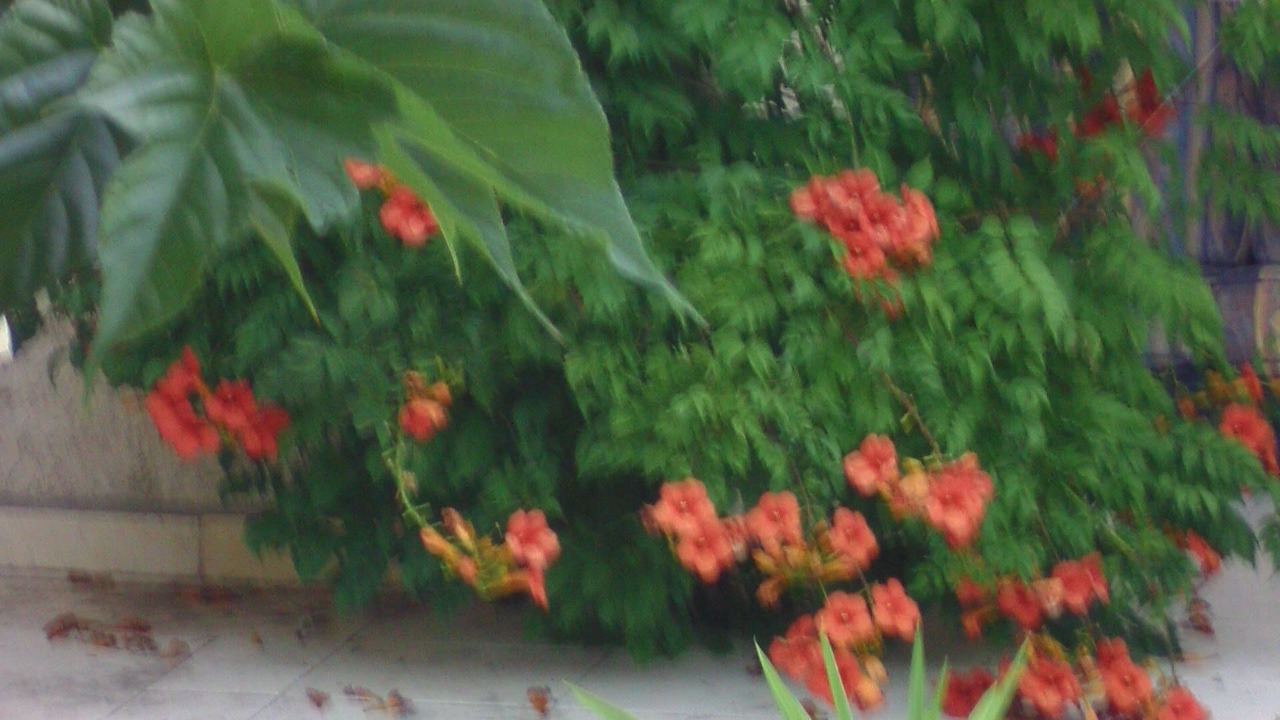 Photo of Outdoor in Tourves