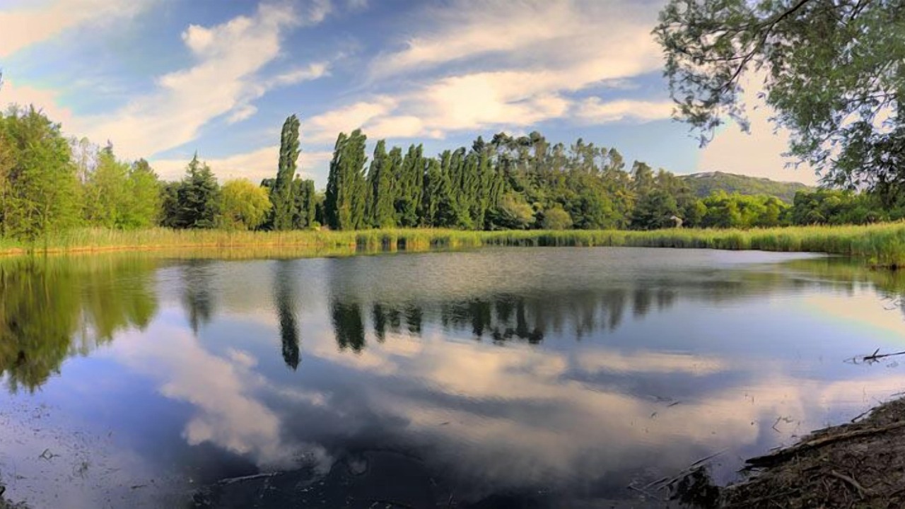 Photo of Outdoor in Tourves