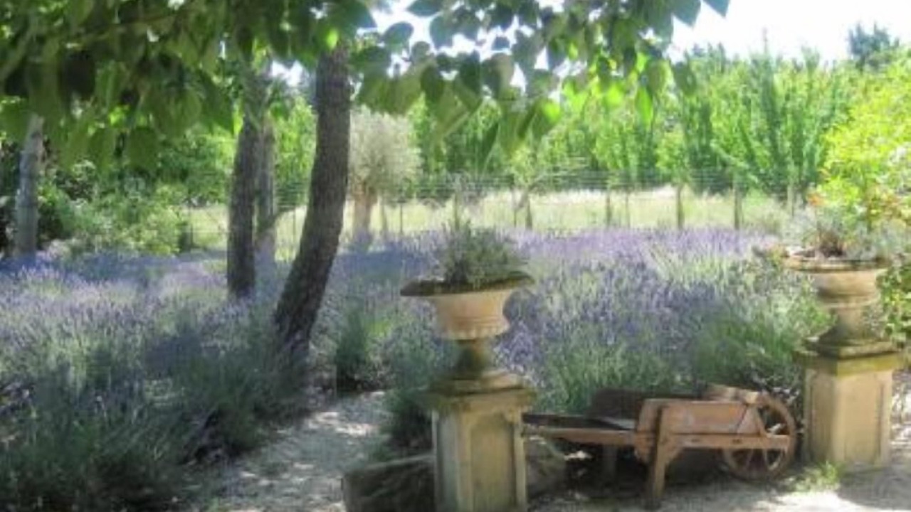 Photo of Outdoor in Lagnes