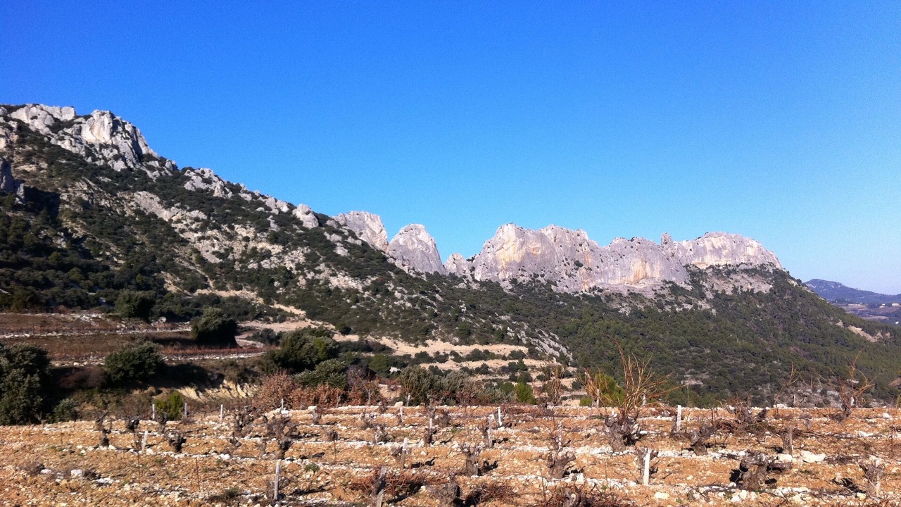 Photo of Others in Vacqueyras