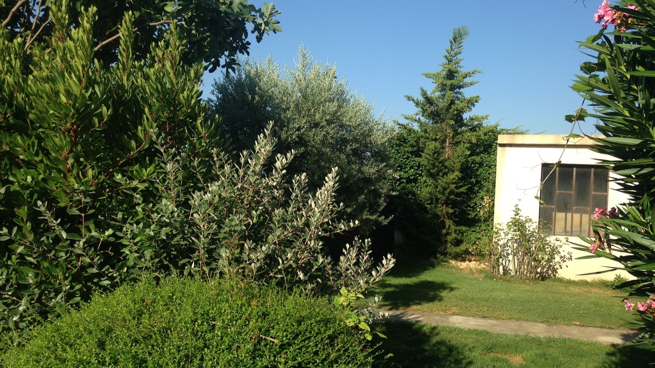 Photo of Outdoor in Vacqueyras