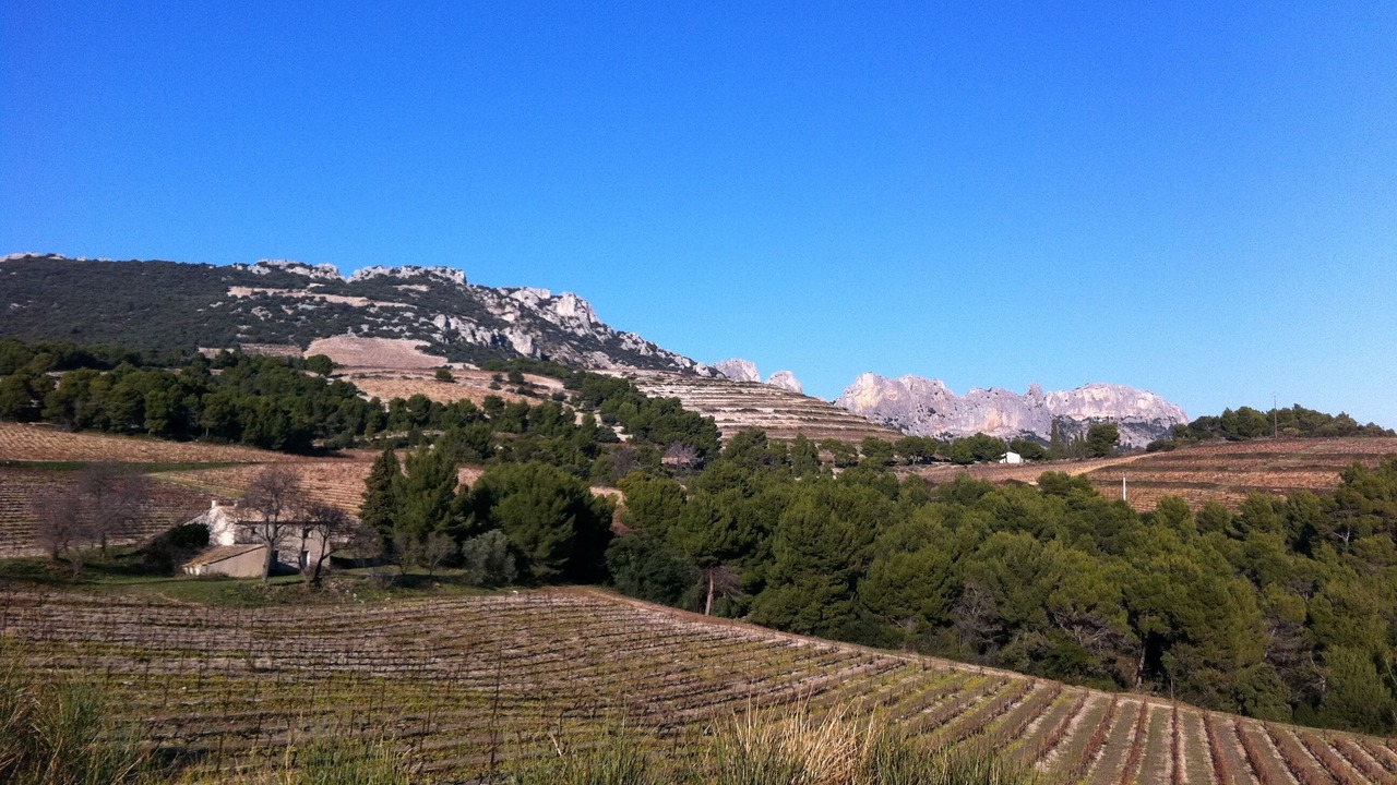Photo of Outdoor in Vacqueyras