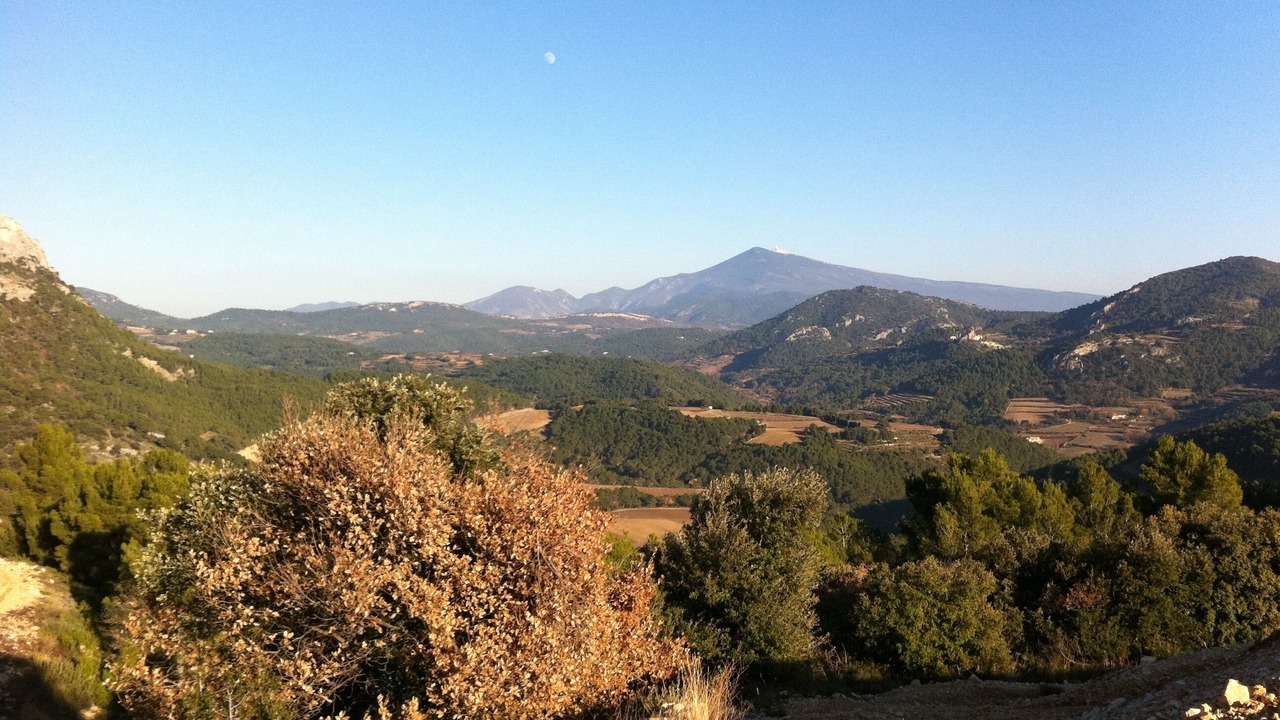 Photo of Outdoor in Vacqueyras