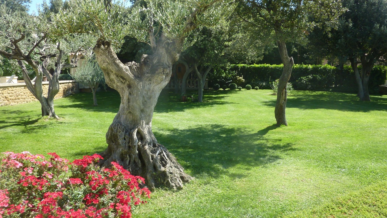 Photo of Outdoor in Vers-Pont-du-Gard