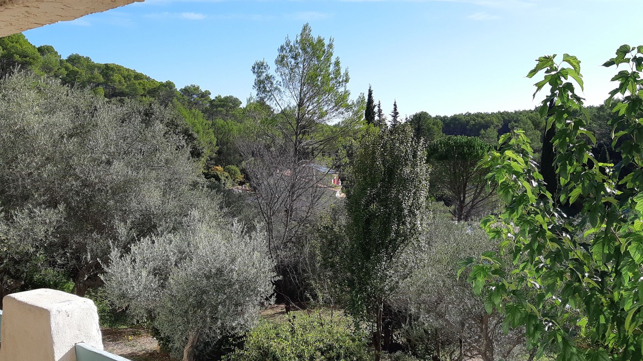 Photo of Outdoor in Pignans