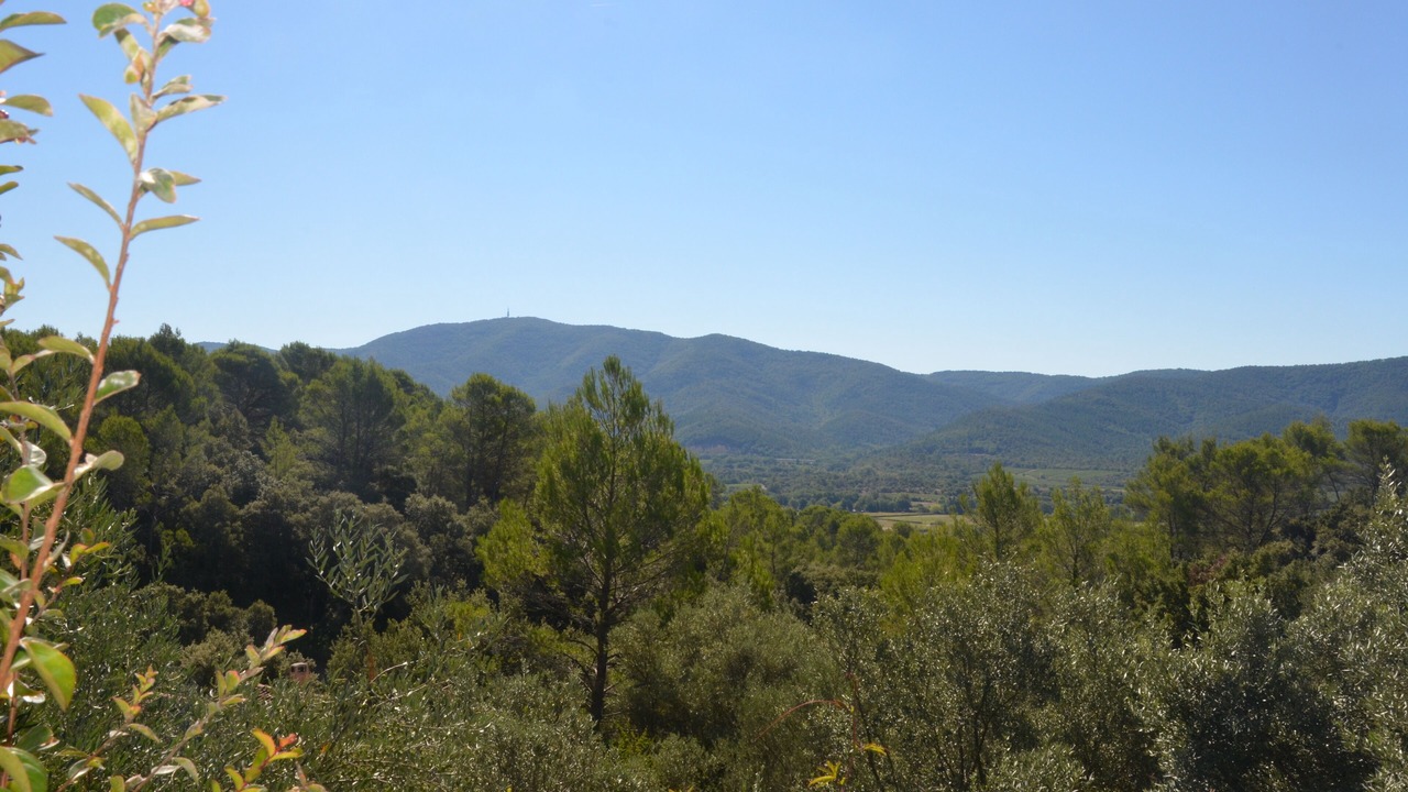 Photo of Outdoor in Pignans