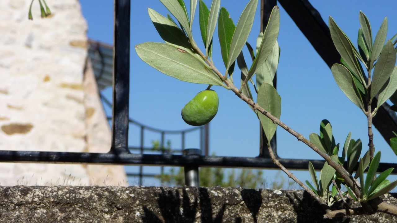 Photo of Outdoor in Sablet