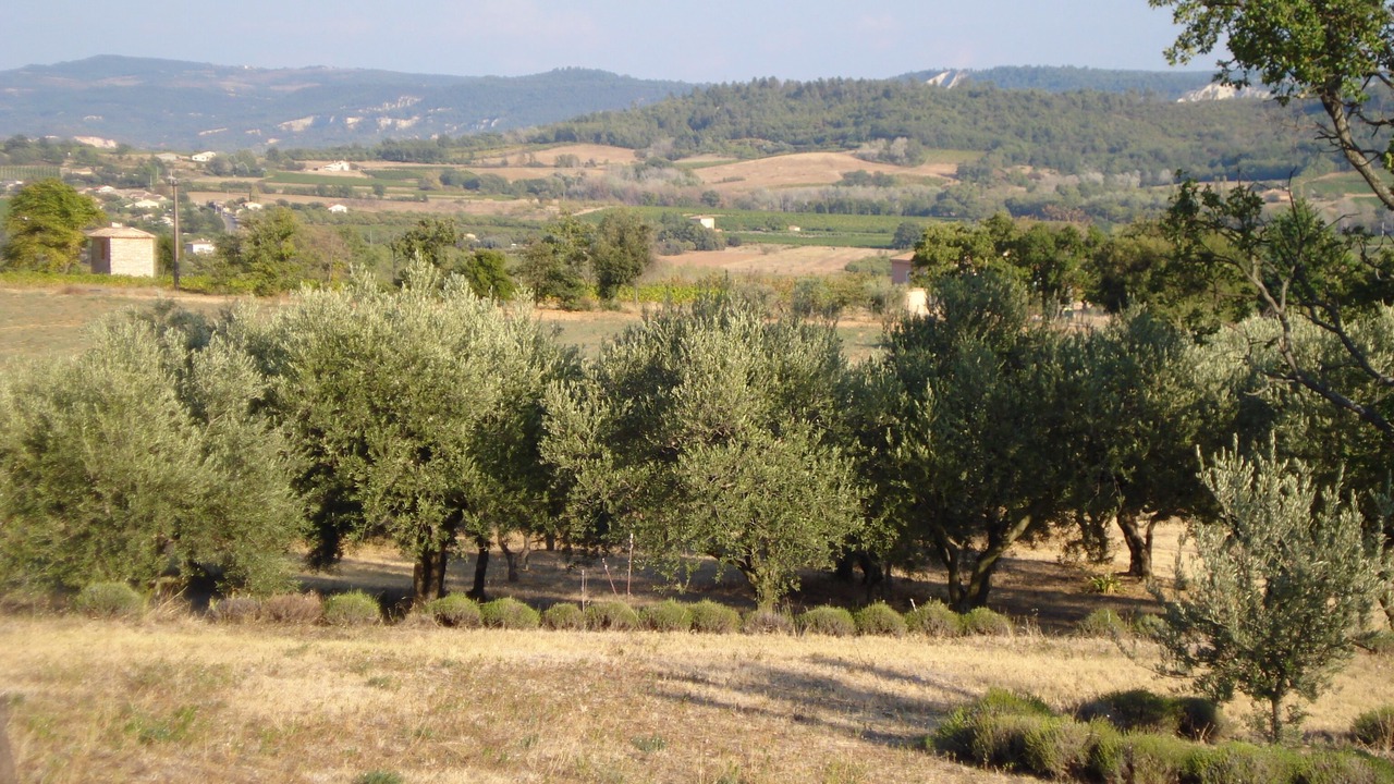 Photo of Outdoor in Pont Royal