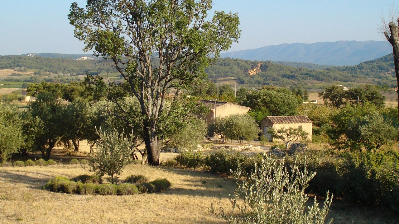 Photo of Outdoor in Pont Royal