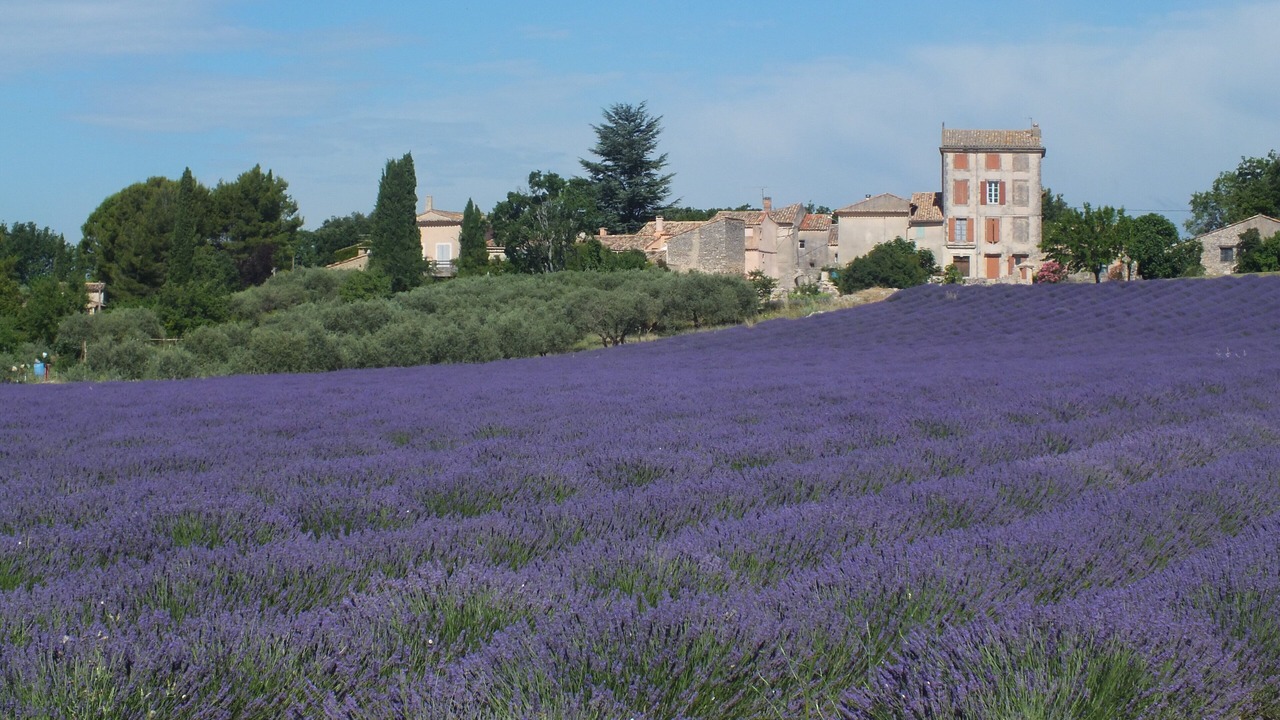 Photo of Outdoor in Pont Royal