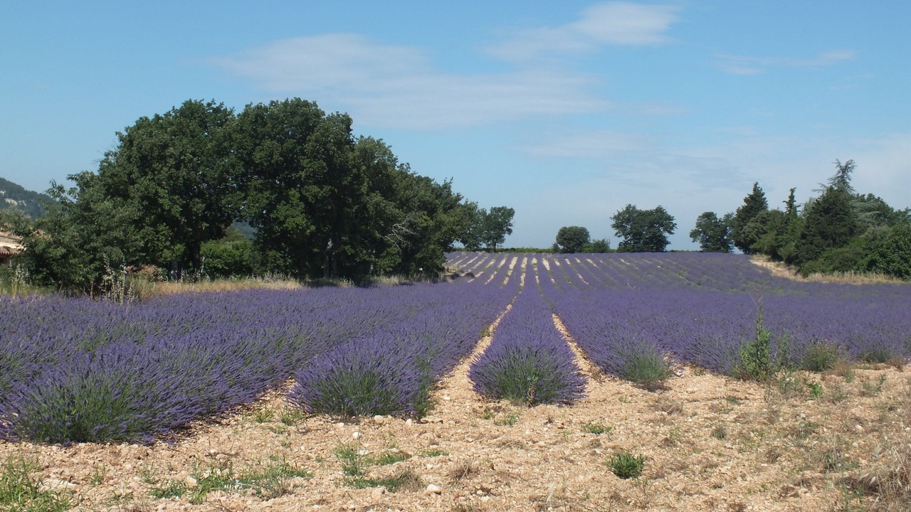 Photo of Outdoor in Pont Royal