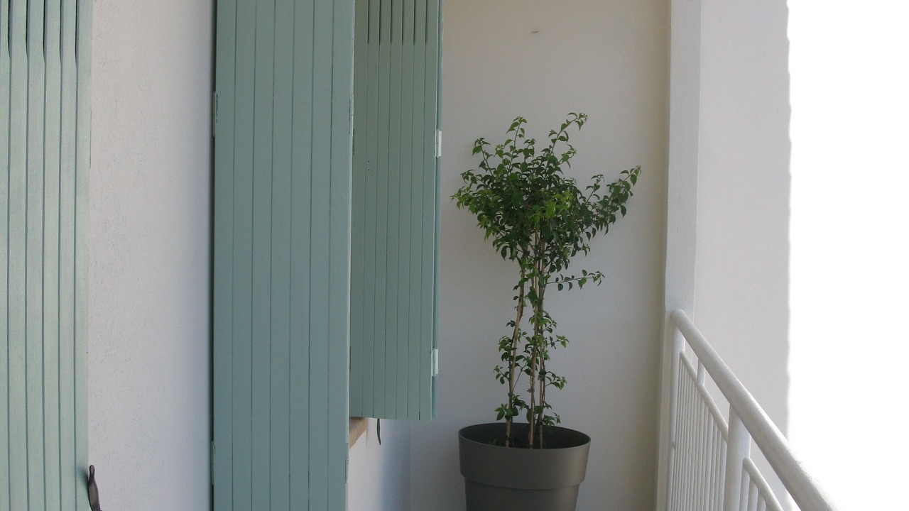 Photo of Outdoor in Le Rove