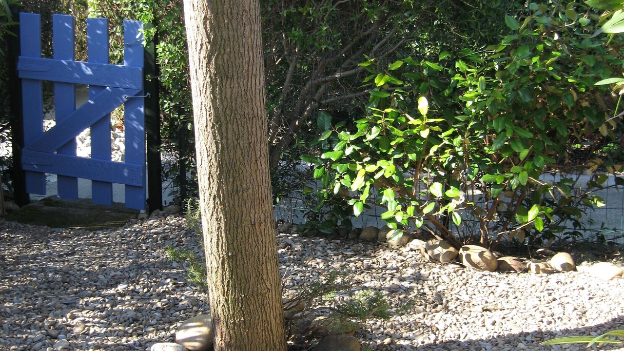 Photo of Outdoor in Mouries