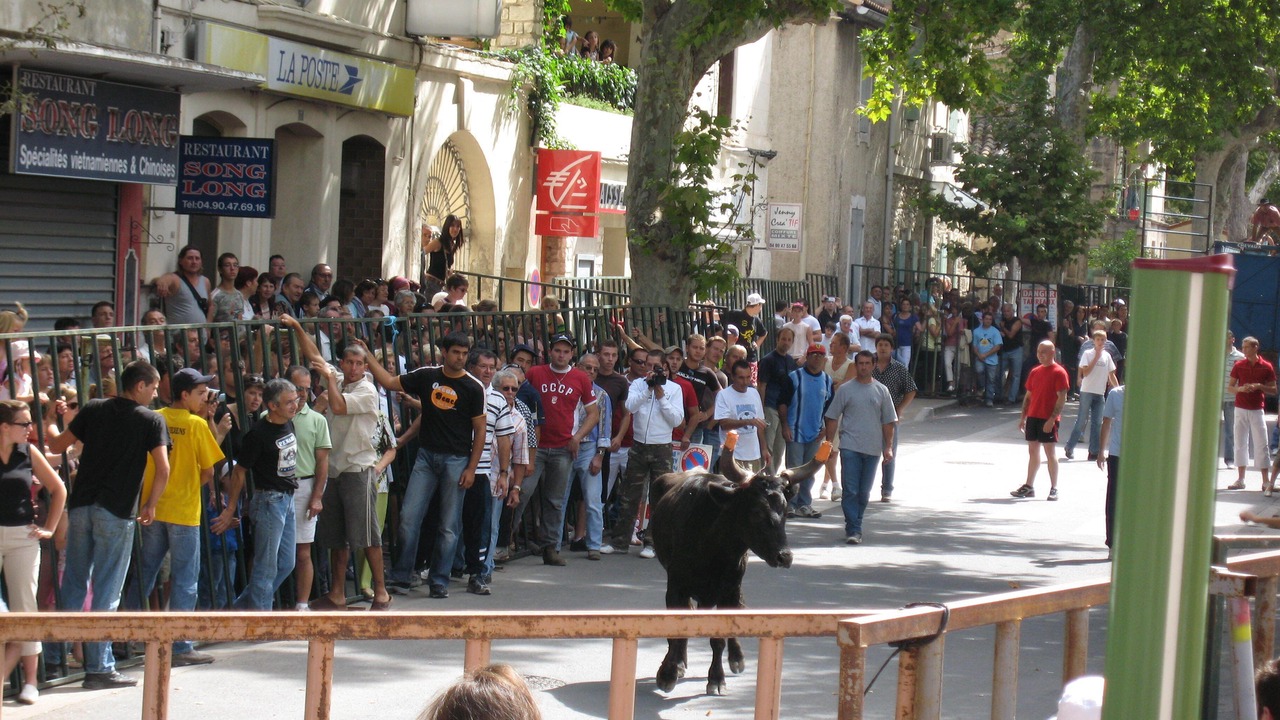 Photo of Others in Mouries