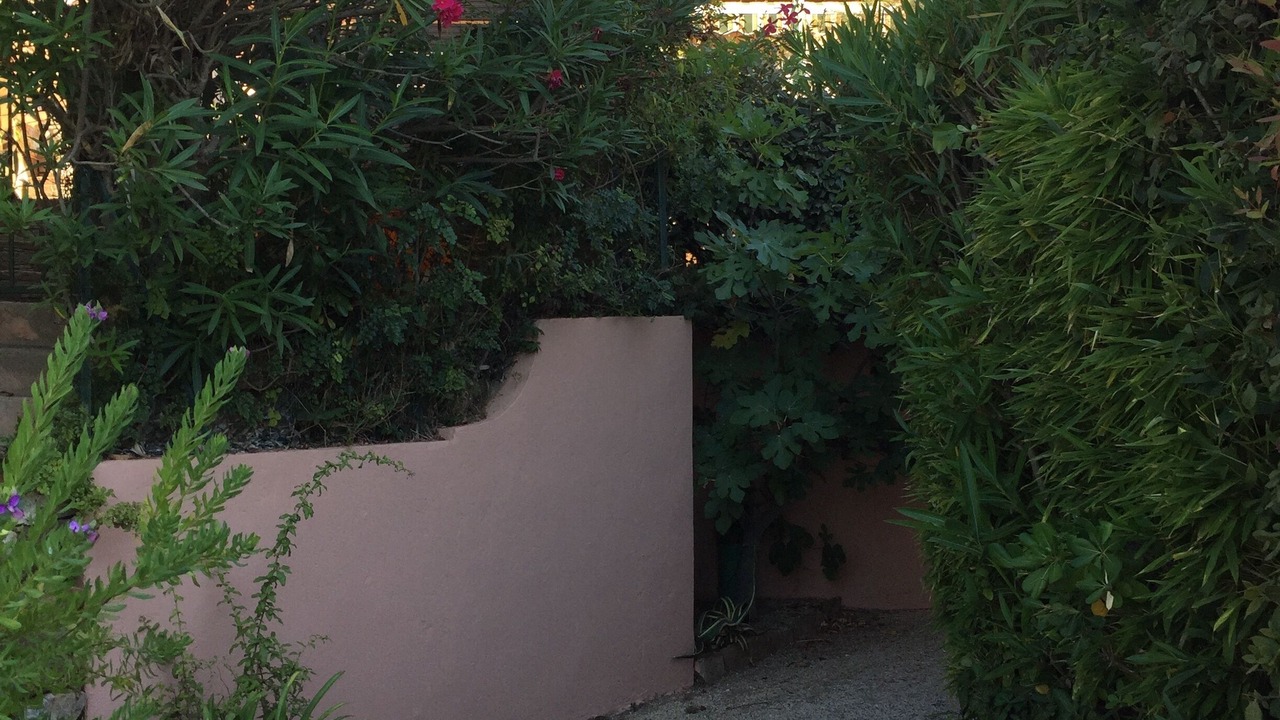 Photo of Outdoor in Rayol-Canadel-sur-Mer