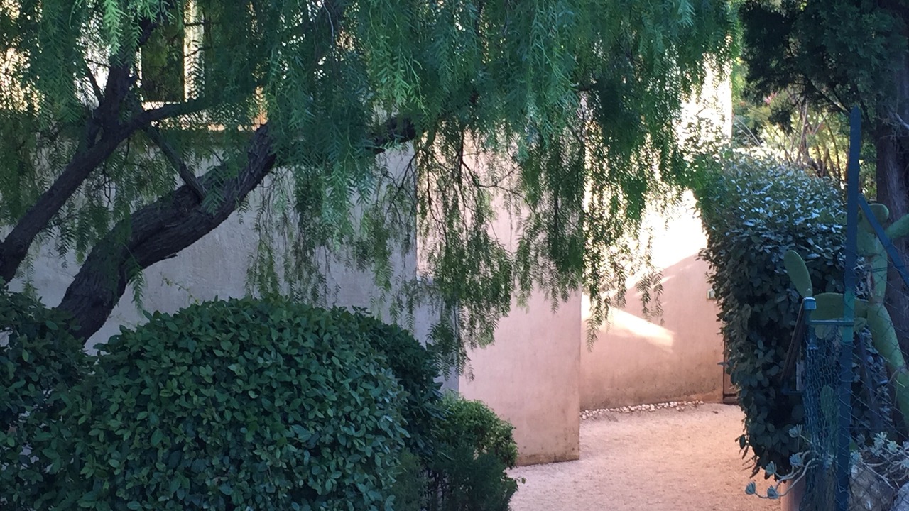 Photo of Outdoor in Rayol-Canadel-sur-Mer