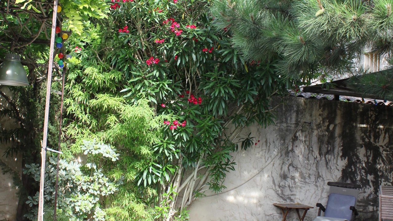 Photo of Outdoor in Noves