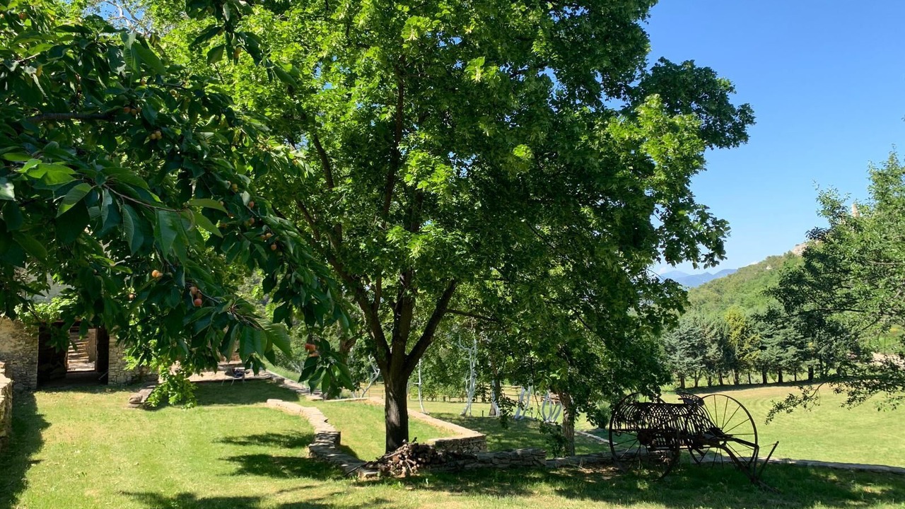 Photo of Outdoor in Crestet