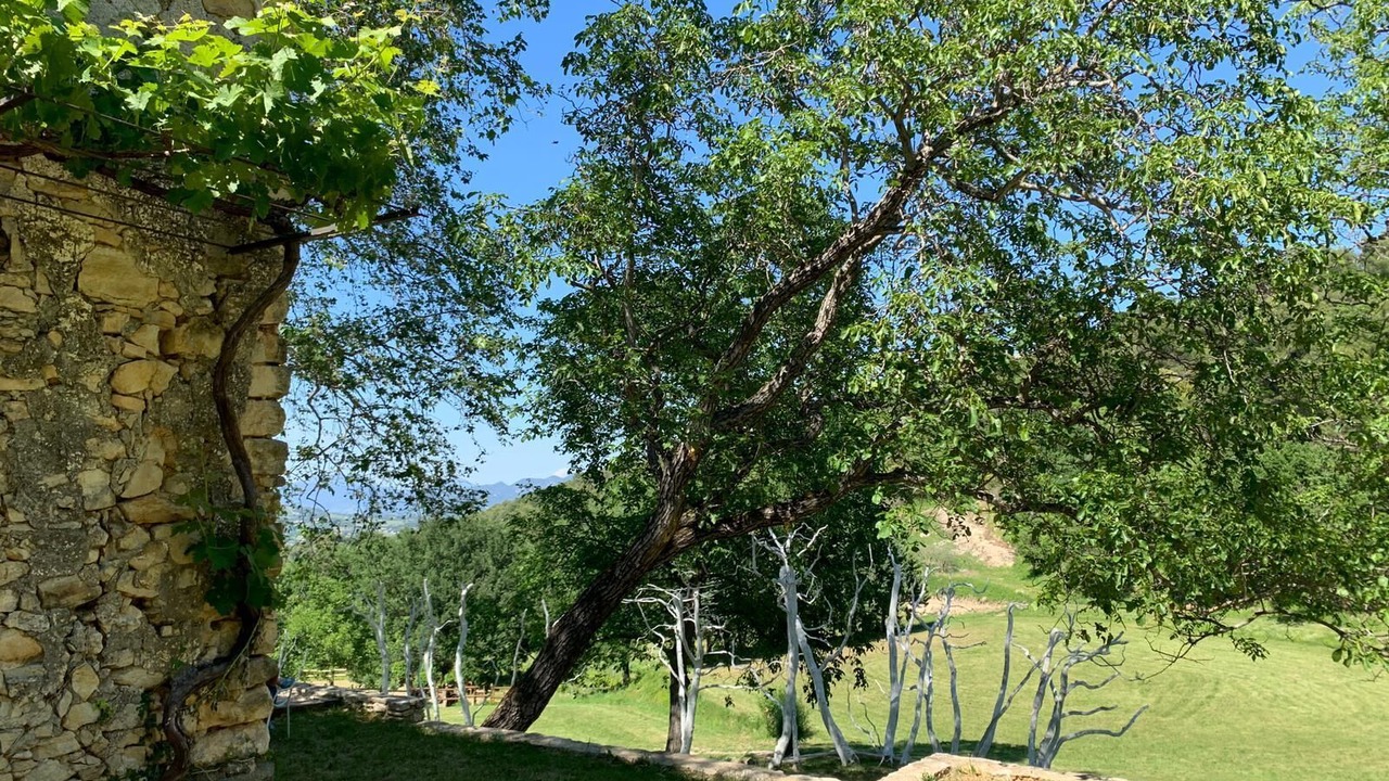 Photo of Outdoor in Crestet