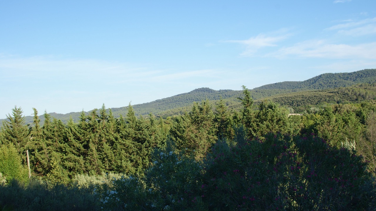 Photo of Outdoor in Montfort-sur-Argens