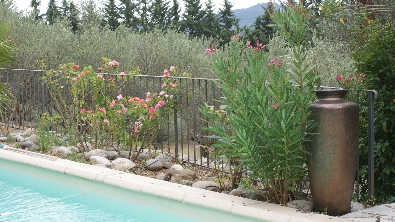 Photo of Outdoor in Montfort-sur-Argens