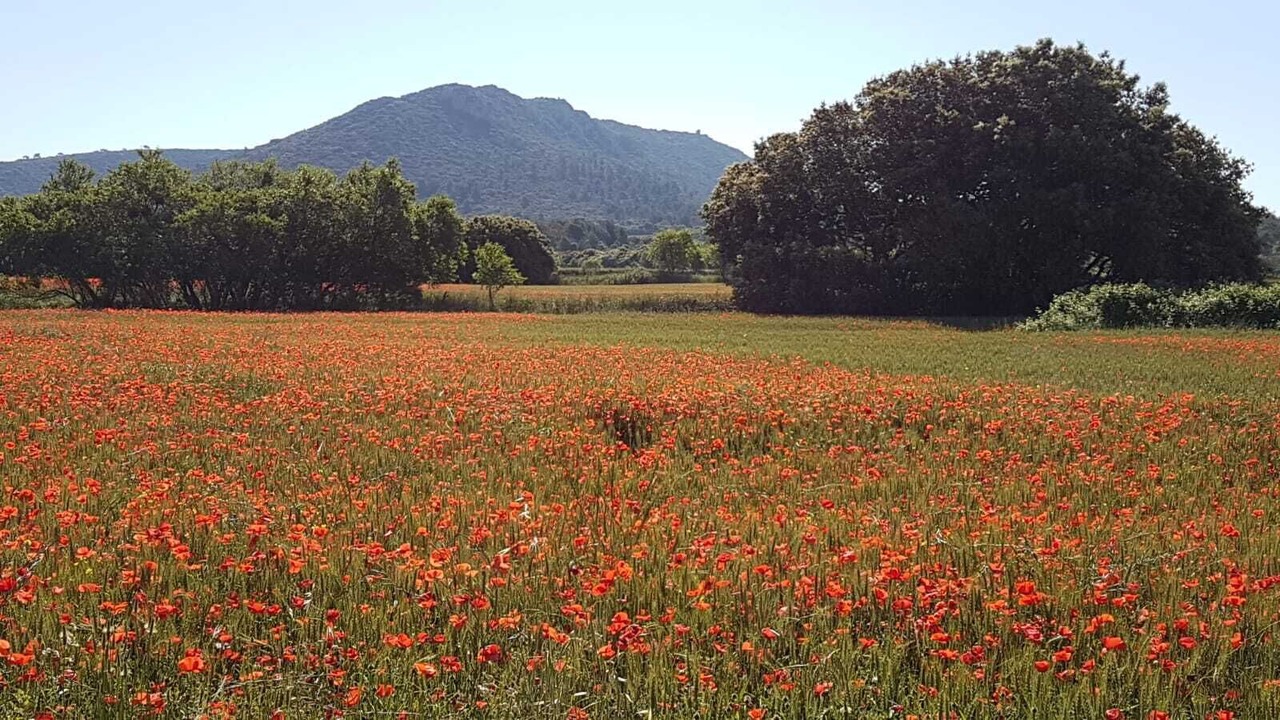Photo of Outdoor in Jouques