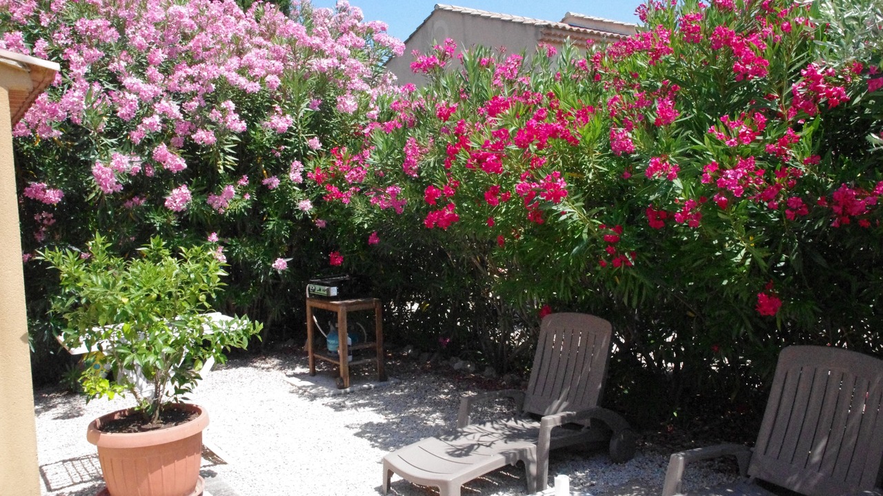 Photo of Outdoor in Mouries