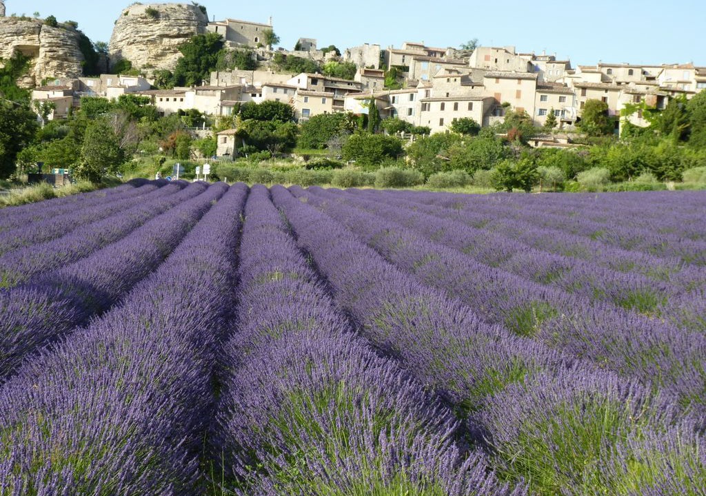 Photo of Outdoor in Saignon