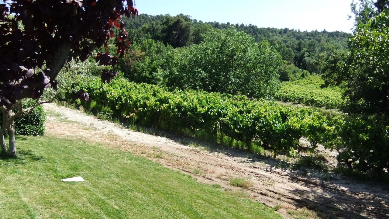 Photo of Outdoor in Bonnieux